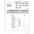 PHILIPS FL117AA CHASSIS Instrukcja Serwisowa