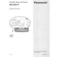 PANASONIC RXDS19 Manual de Usuario