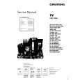 GRUNDIG M63281/8IDTV/LOG Manual de Servicio