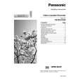 PANASONIC NVMV41GN Manual de Usuario