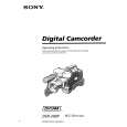 SONY DSR-200P Manual de Usuario