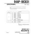 SONY 94AP-18C831 Manual de Servicio