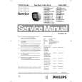 PHILIPS 14PV33439 Manual de Servicio