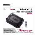 PIONEER TS-WX11A Manual de Usuario